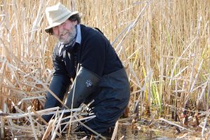 David Nobbs in the reeds