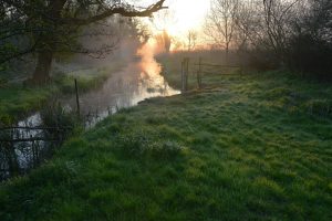 wheatfen dawn david nobbs