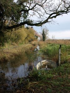 wheatfen by martin howe