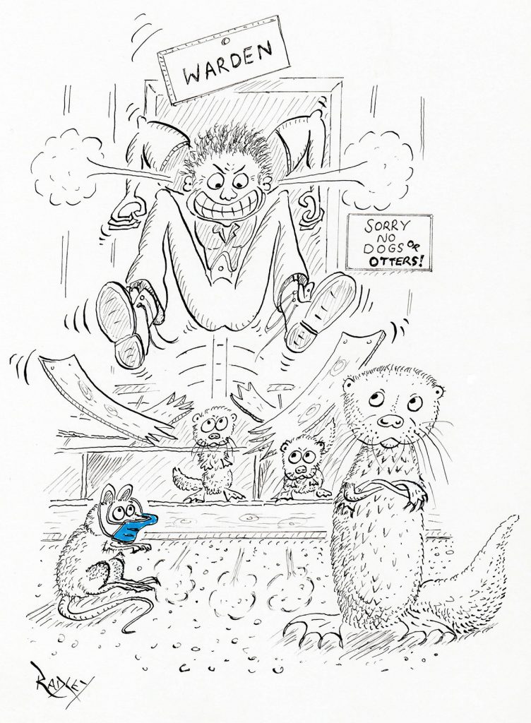 otters cartoon by kevin radley